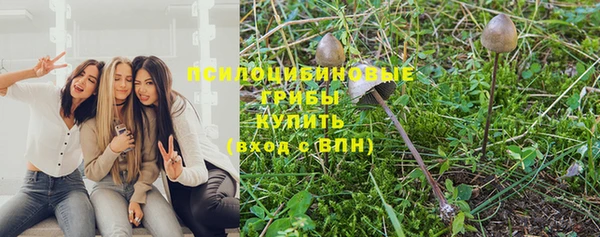 бошки Балахна