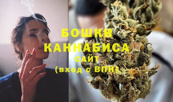 ГАЛЛЮЦИНОГЕННЫЕ ГРИБЫ Баксан